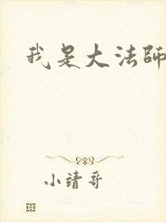 我是大法师封面