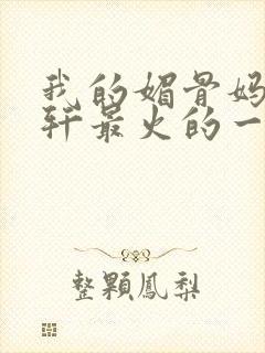 我的媚骨妈妈林轩最火的一句