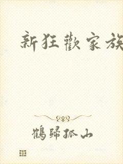 新狂欢家族小说封面
