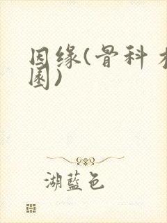 因缘(骨科 校园)