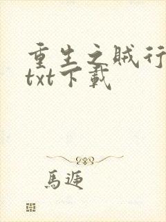 重生之贼行天下txt下载