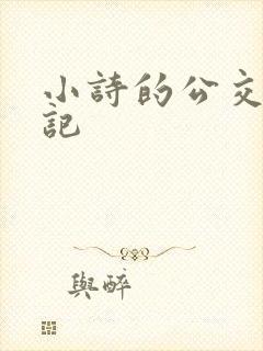 小诗的公交车日记