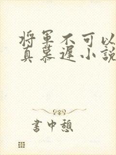 将军不可以魏云真慕迟小说笔趣阁