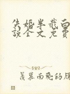 失婚半截白菜小说全文免费阅读封面
