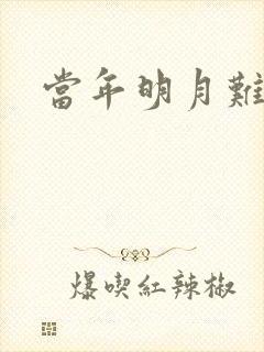 当年明月难寻