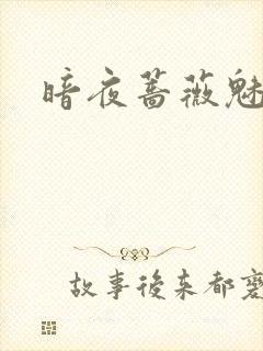 暗夜蔷薇魅