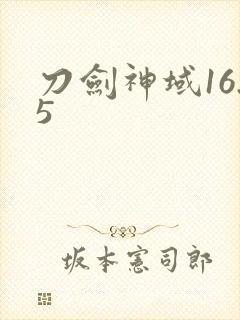 刀剑神域16.5