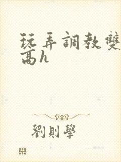 玩弄调教双胞胎高h