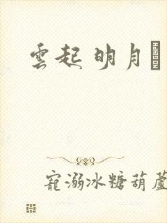 云起 明月珰封面