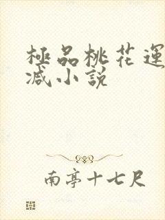 极品桃花运未删减小说