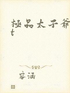 极品太子爷txt