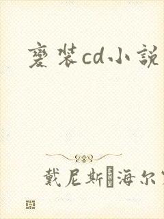 变装cd小说封面