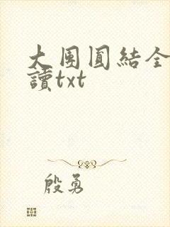 大团圆结全文阅读txt