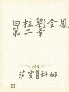 田柱刘金凤小说第二章封面