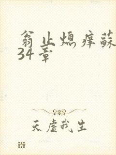 翁止熄痒苏钥第34章