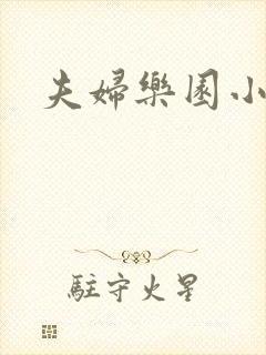 夫妇乐园小说