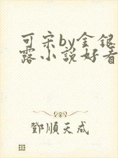可宋by金银花露小说好看吗