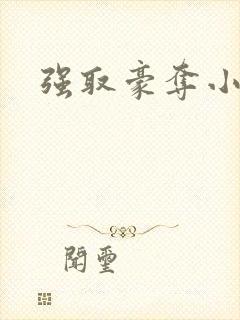强取豪夺小说