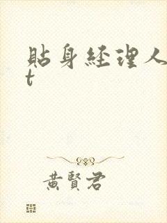 贴身经理人txt