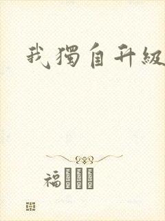 我独自升级