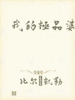 我的极品婆婆