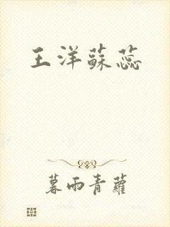王洋苏蕊封面