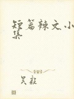 短篇辣文小说合集