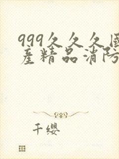 999久久久国产精品消防器材
