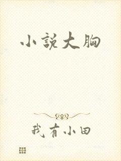小说大胸封面