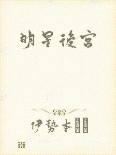 明星后宫