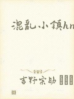 混乱小镇hnp
