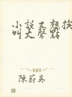 小说又想挨C了叫大声点封面