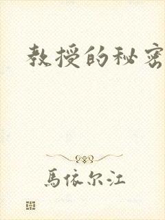 教授的秘密封面