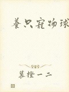 养只宠物球