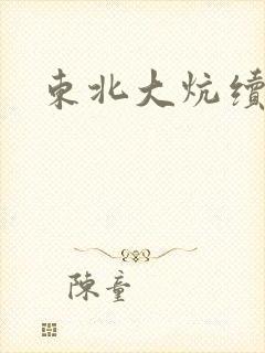 东北大炕续集封面