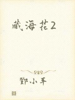 藏海花2封面