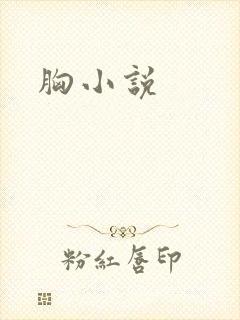 胸小说封面