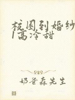 校园到婚纱1V1高冷甜