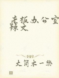 老板办公室系列辣文