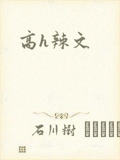 高h辣文