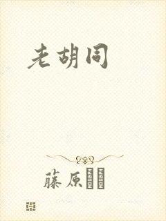 老胡同