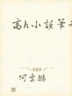 高h小说笔趣阁封面
