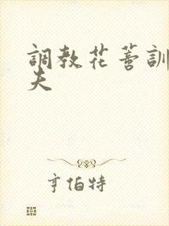 调教花蒂训诫从夫