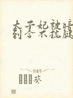 太子妃被暗卫C到合不拢腿
