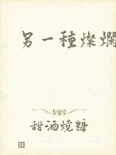 另一种灿烂生活