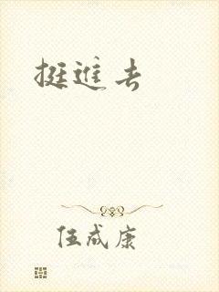挺进去封面