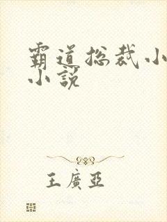霸道总裁小娇妻小说