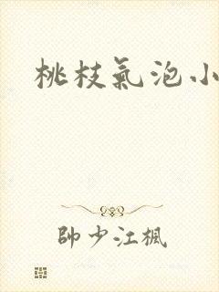 桃枝气泡小说