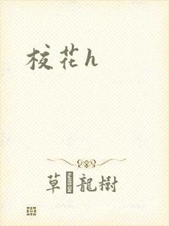 校花h封面