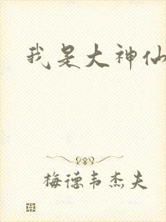 我是大神仙小说